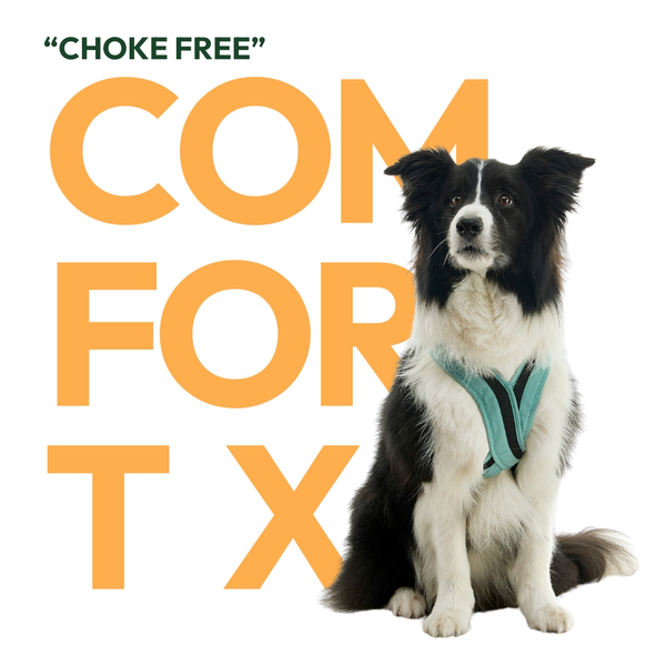 Choke Free Series
