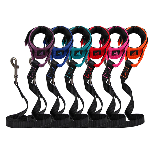 #10201 - Easy Fit Wristband Leash