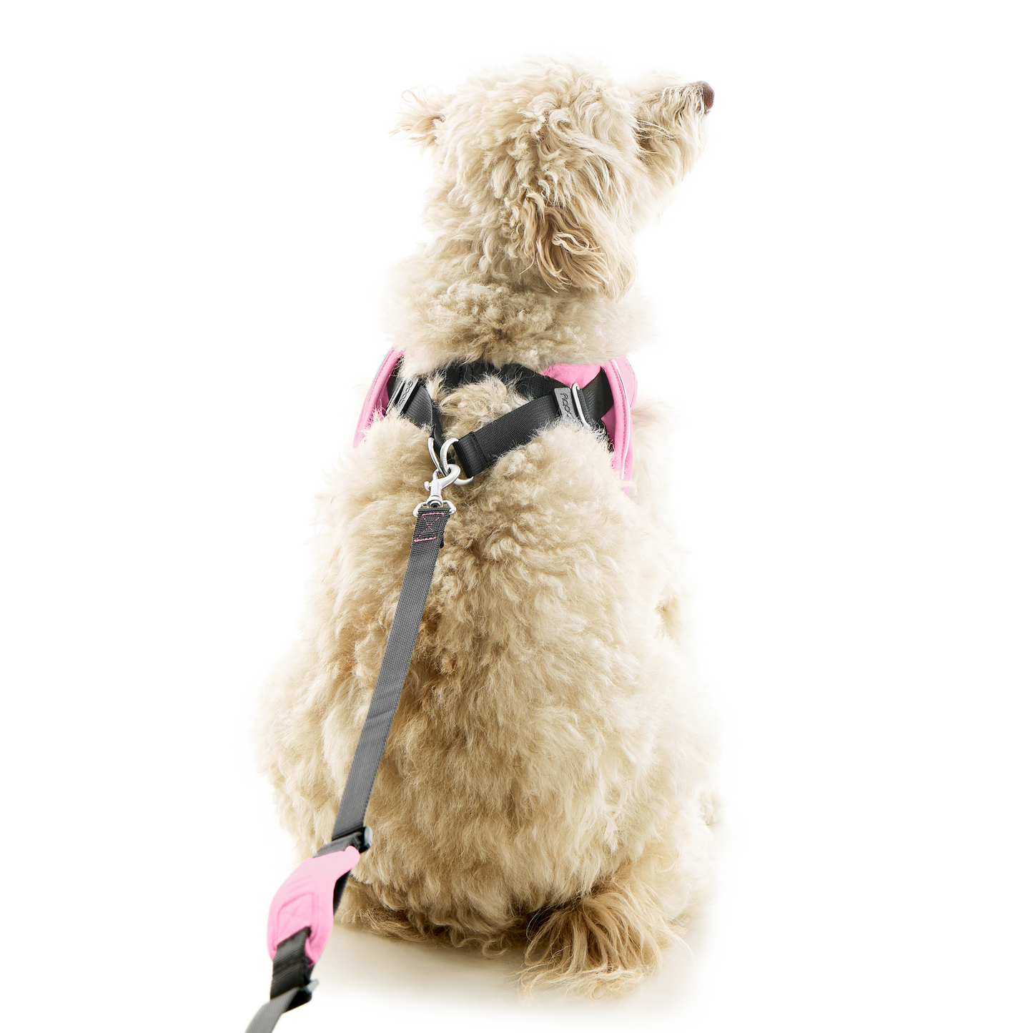 #40224 - Escape Free Easy Fit X Harness
