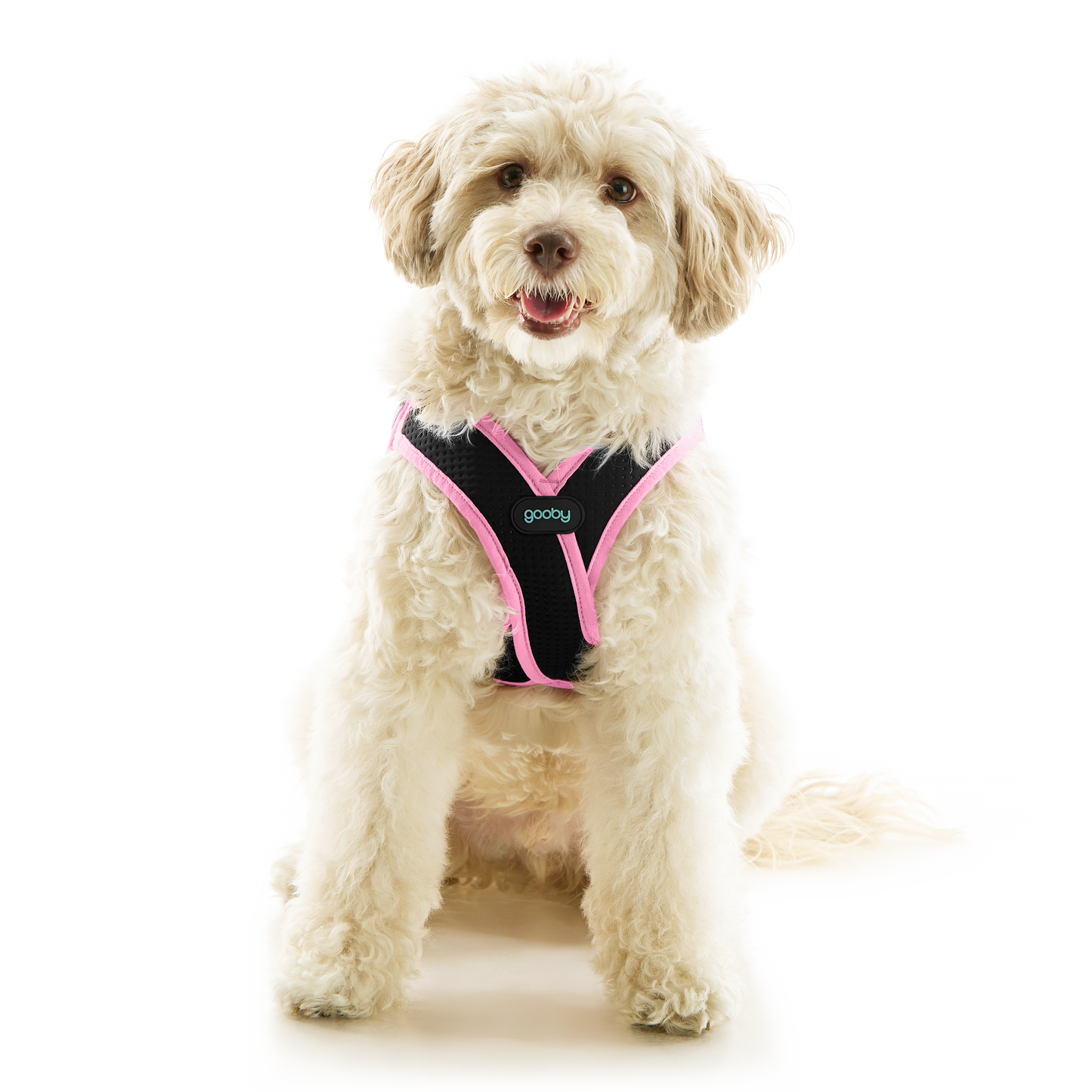 #40224 - Escape Free Easy Fit X Harness