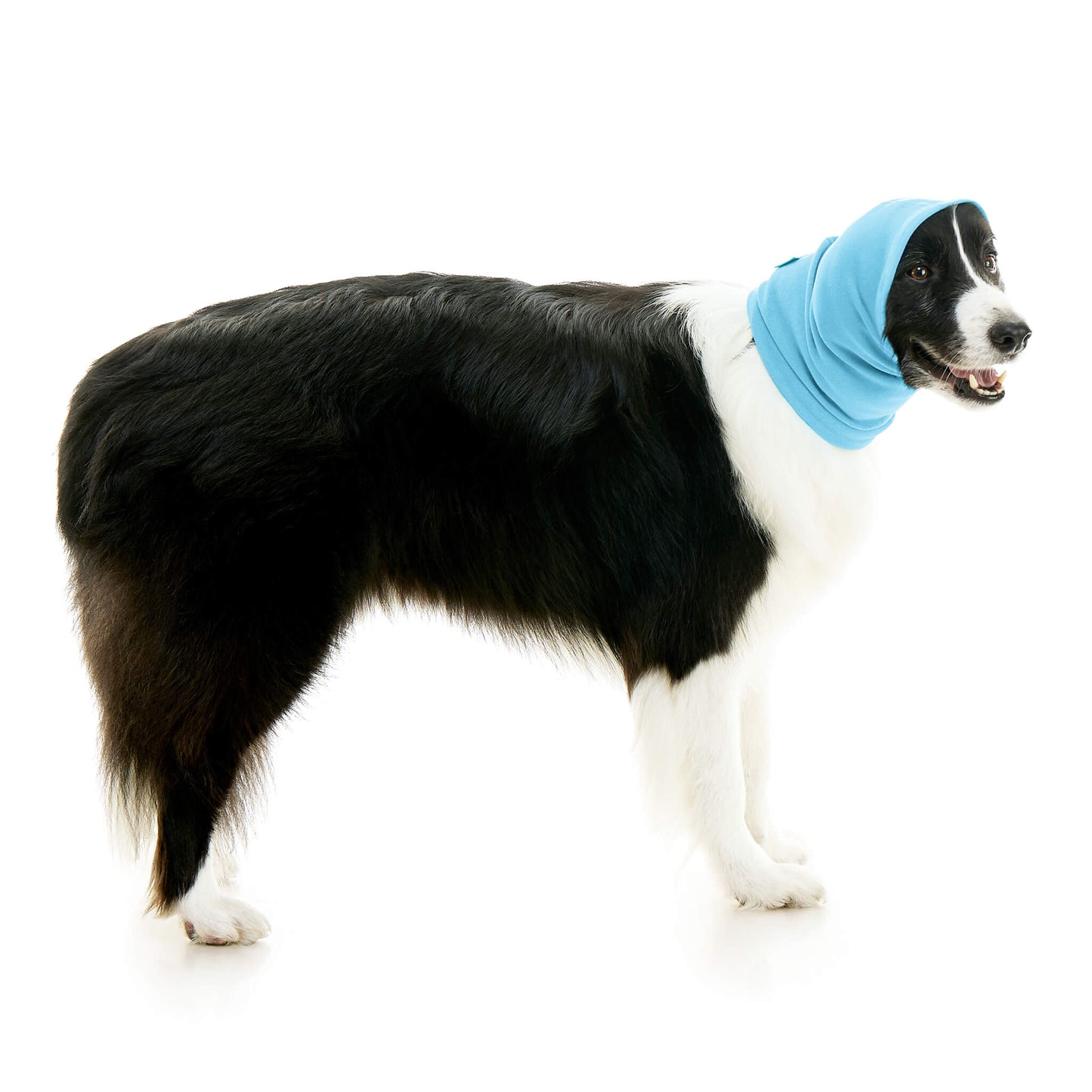 #77221 - Snood