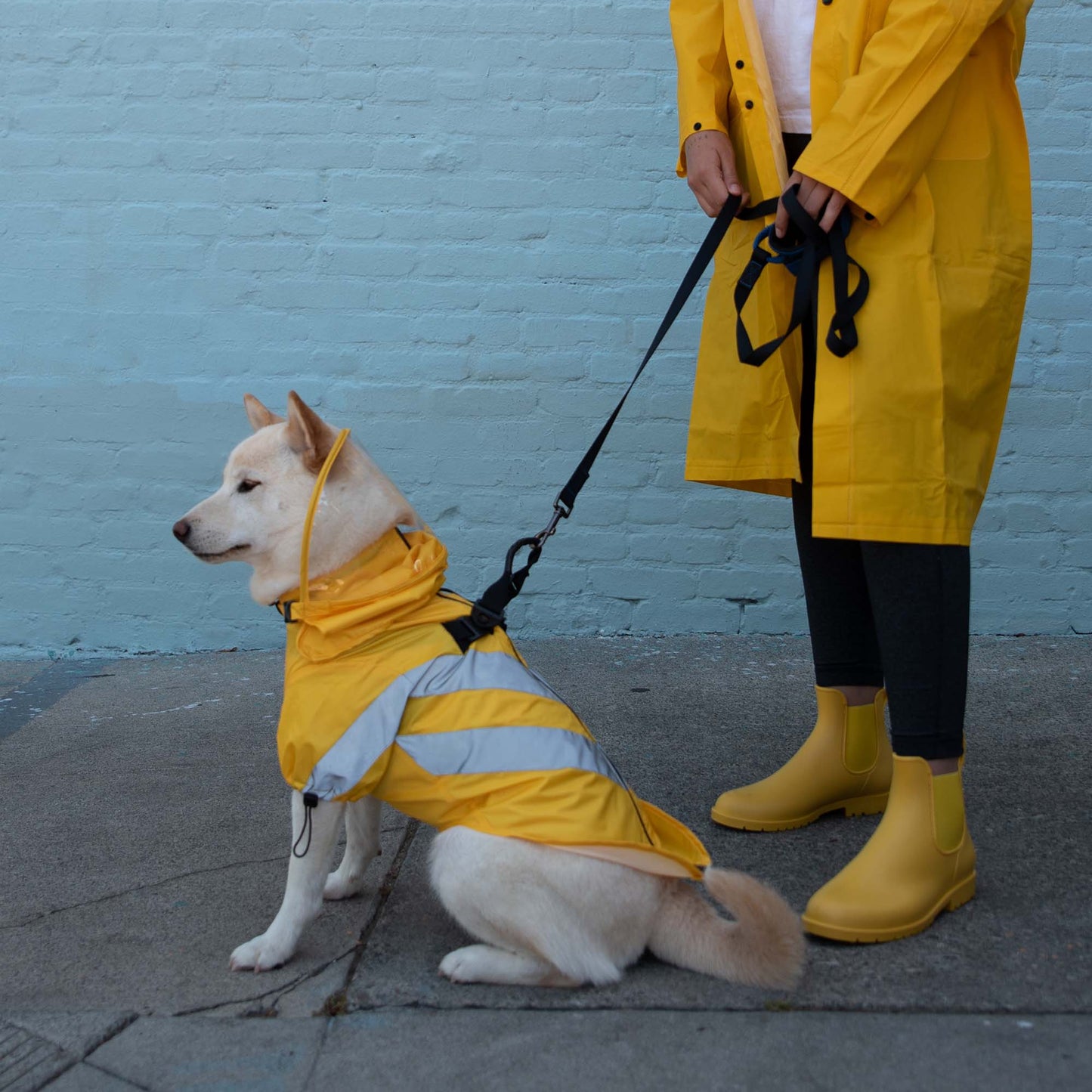 #76221 Anorak Corredor del Viento