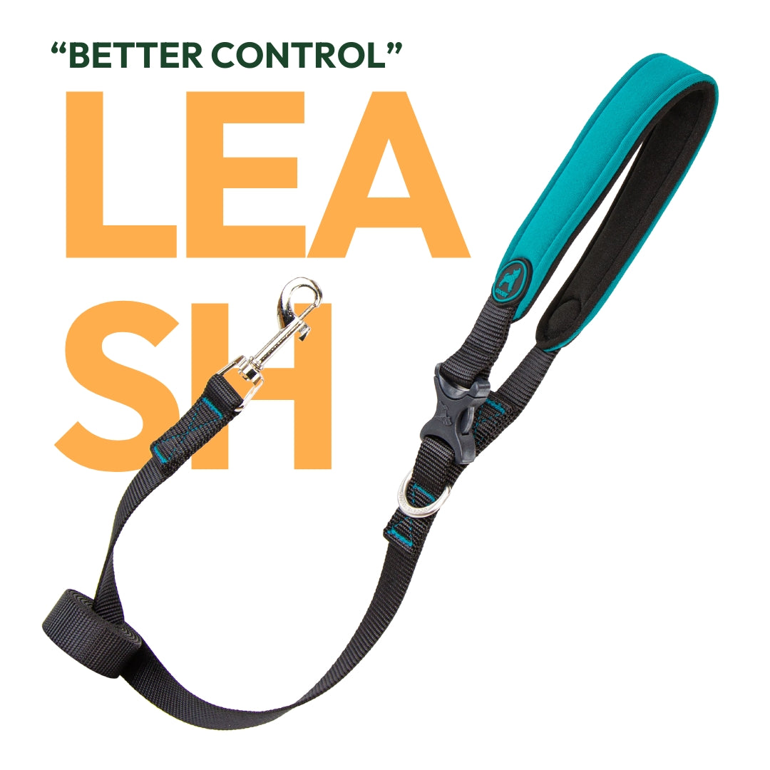 All Leash