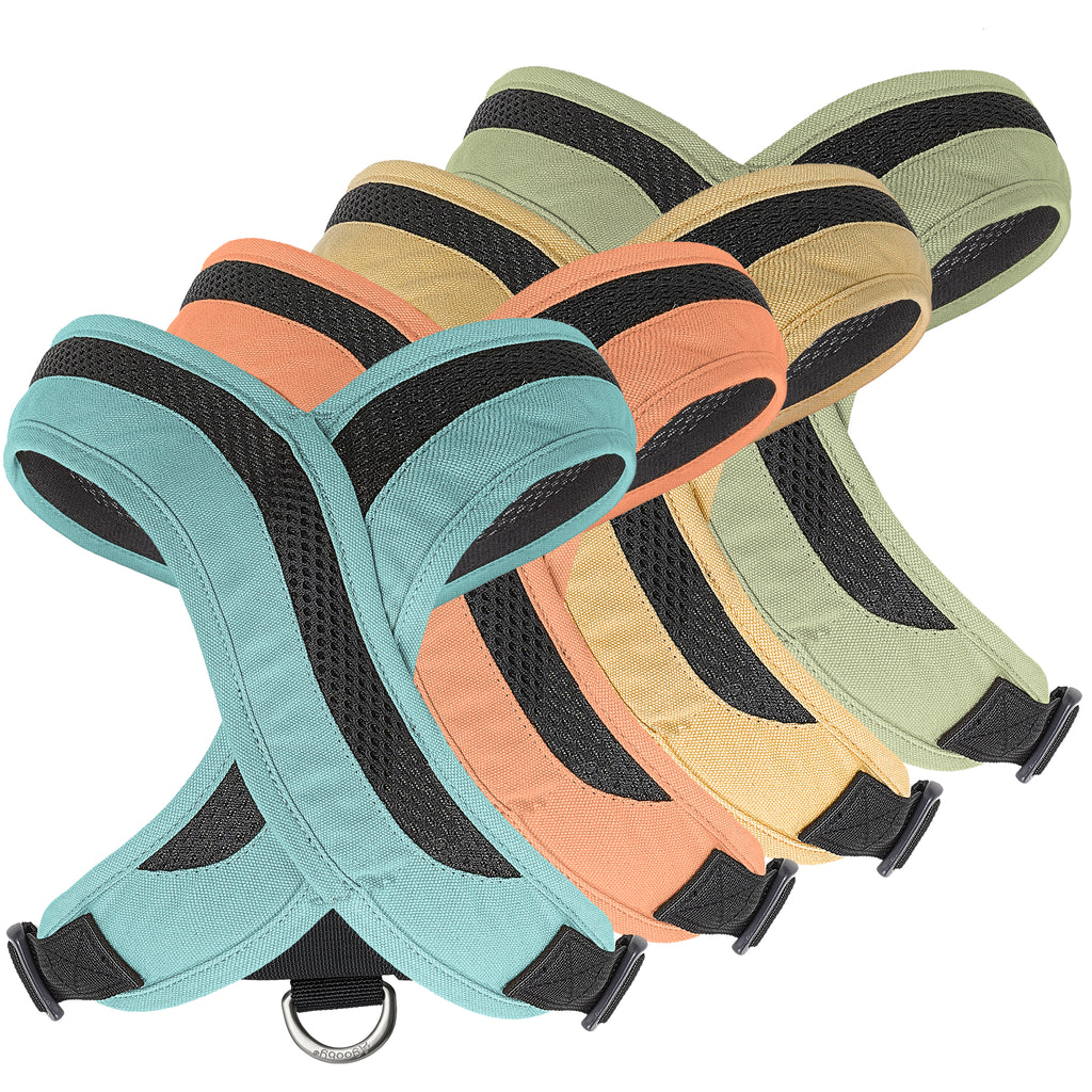 #04231 Escape Libre Comodidad X Uno
