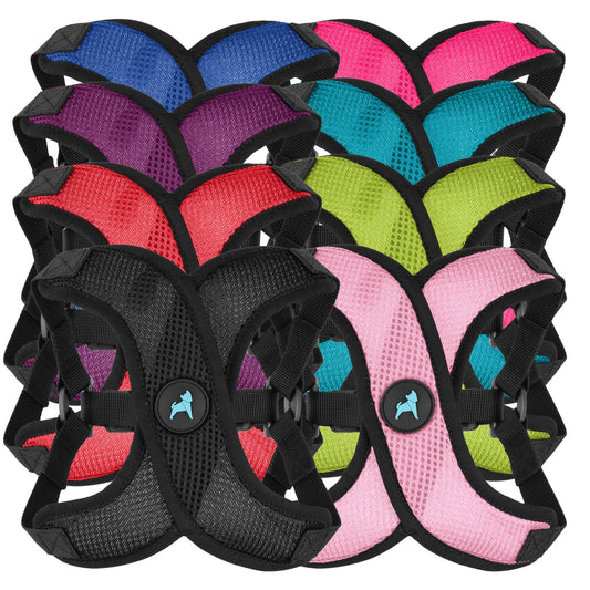 #04234 Comfort X Paso In Lite