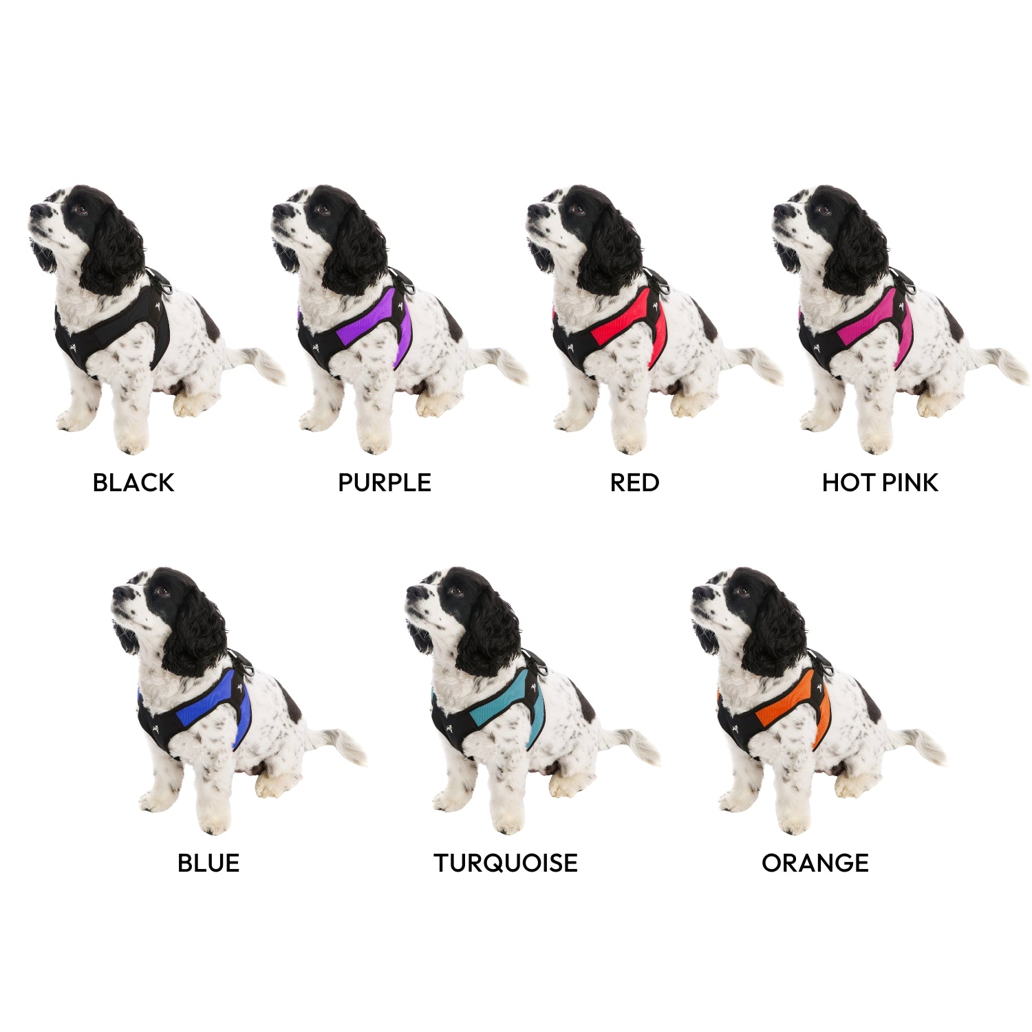 Gooby easy fit harness best sale