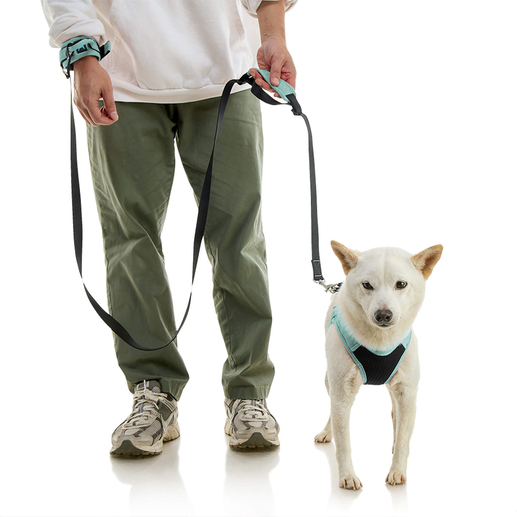 #10231 - Wristband Surfer Leash w/ Traffic Handle