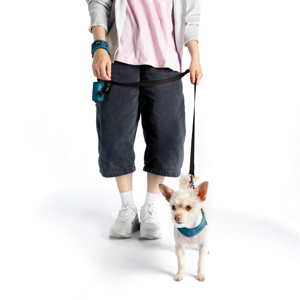 #10726 - Simple Step-In Leash Set (Simple Step In III Matching)