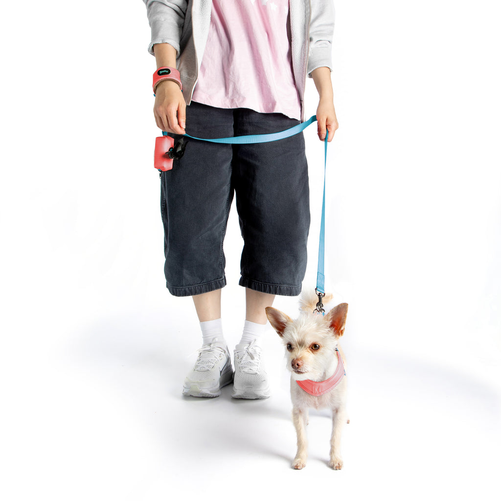 #10726 - Simple Step-In Leash Set (Simple Step In III Matching)
