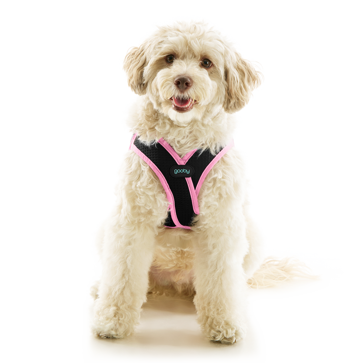 #40224 - Escape Free Easy Fit X Harness
