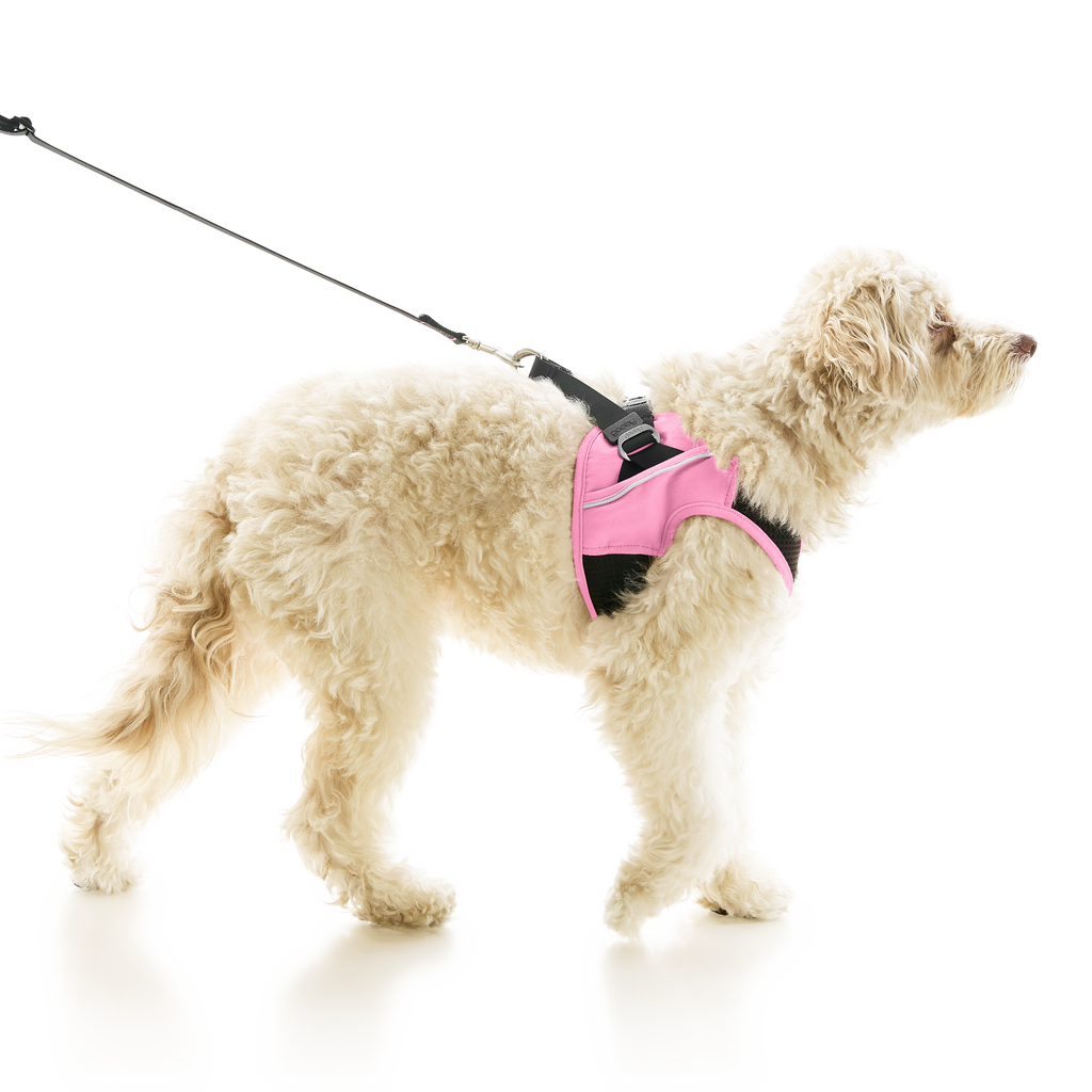 #40224 - Escape Free Easy Fit X Harness