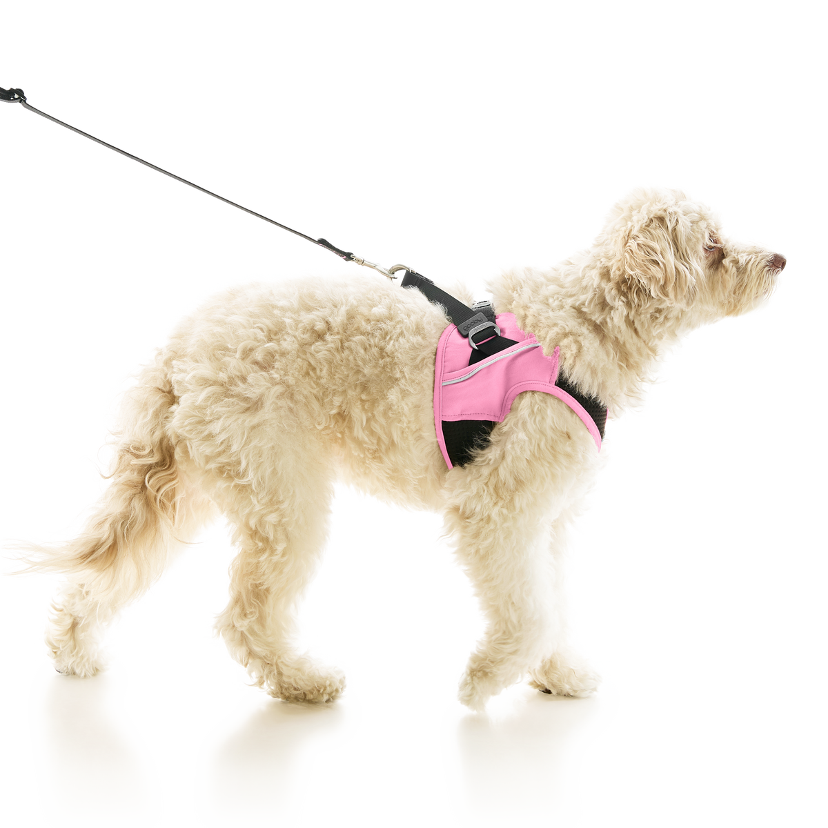 #40224 - Escape Free Easy Fit X Harness