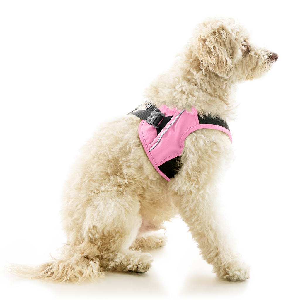 #40224 - Escape Free Easy Fit X Harness