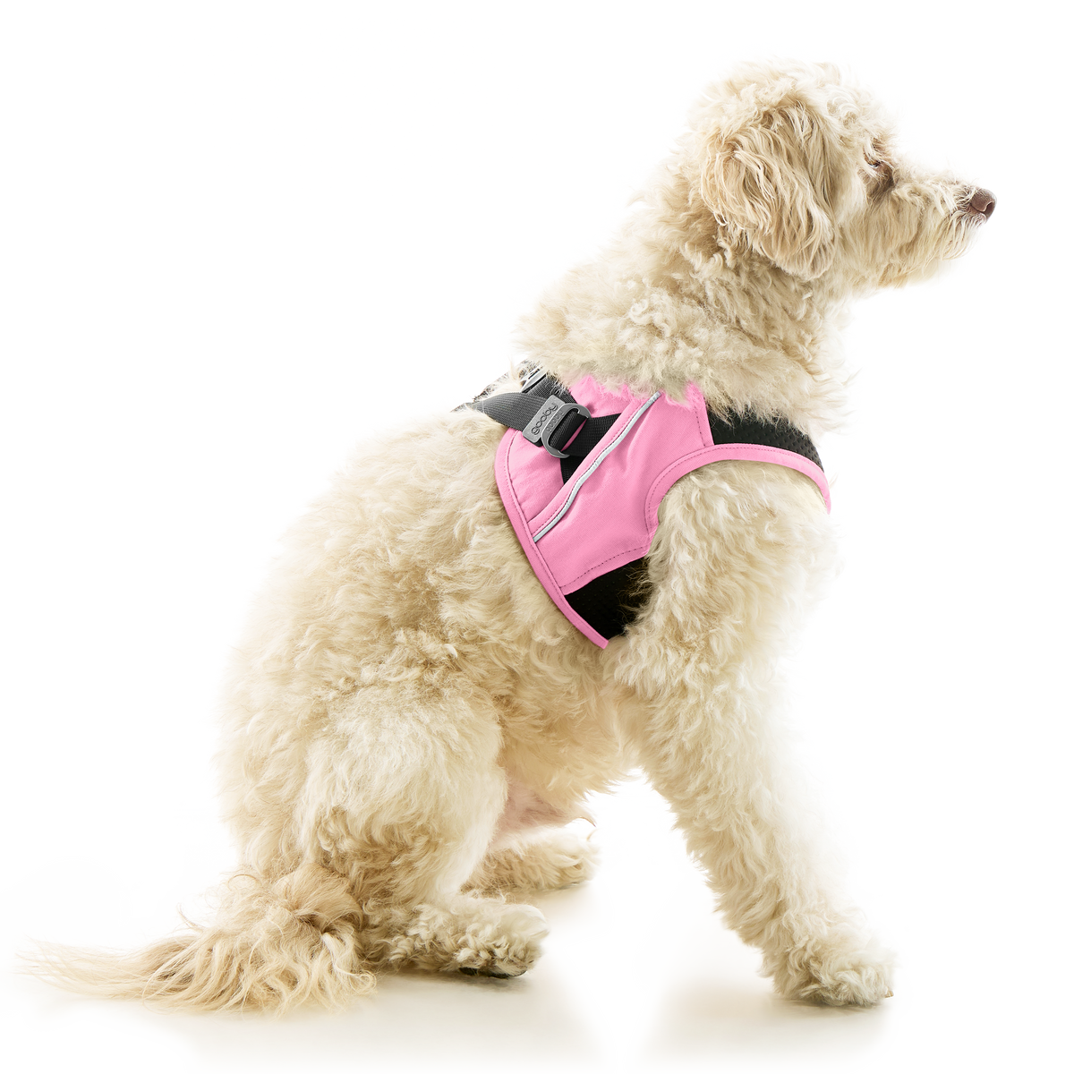 #40224 - Escape Free Easy Fit X Harness