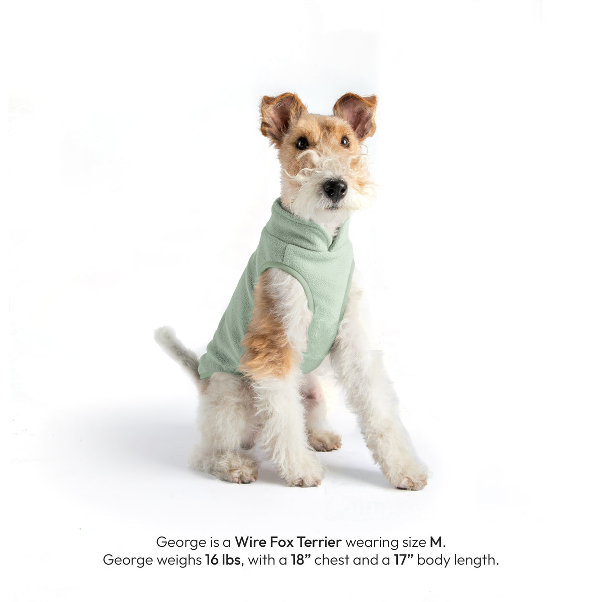 #70226 -  Everyday Fleece Vest