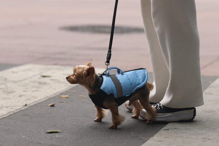 Gooby Dog Harness