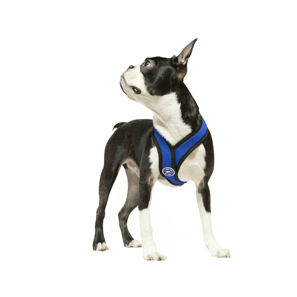 #04110 - Comfort X Harness