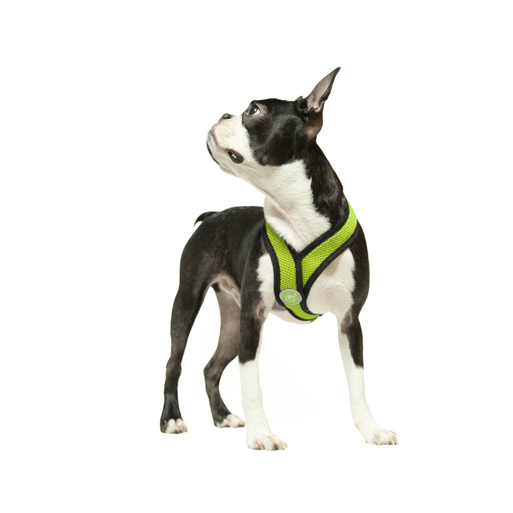 #04110 - Comfort X Harness