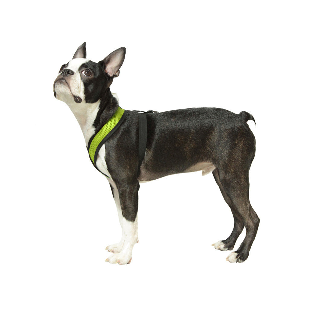 #04110 - Comfort X Harness