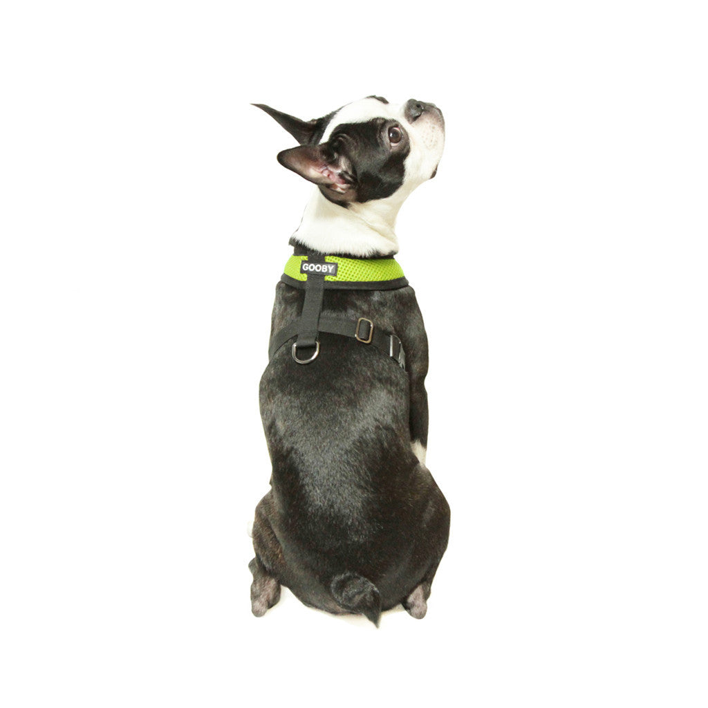 #04110 - Comfort X Harness
