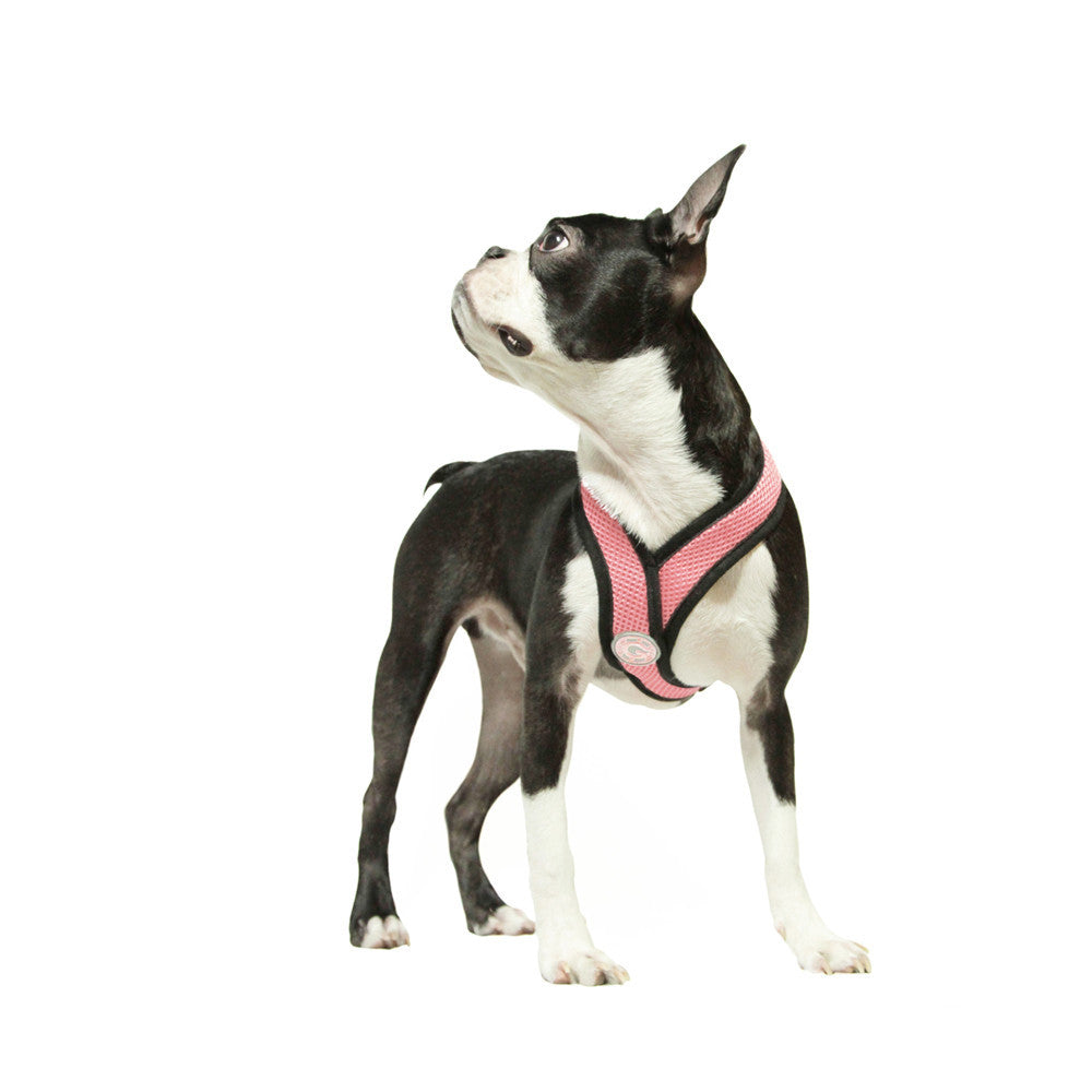 #04110 - Comfort X Harness
