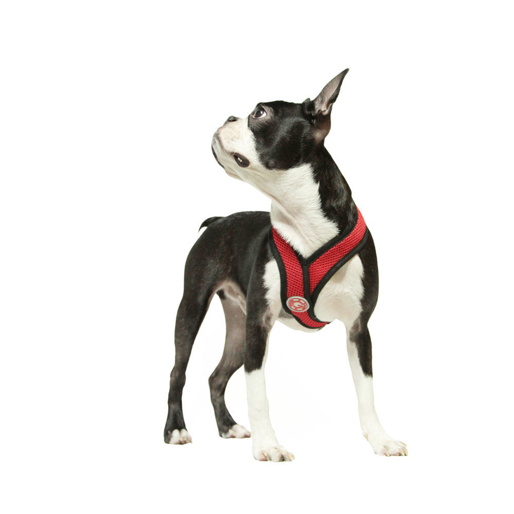 #04110 - Comfort X Harness