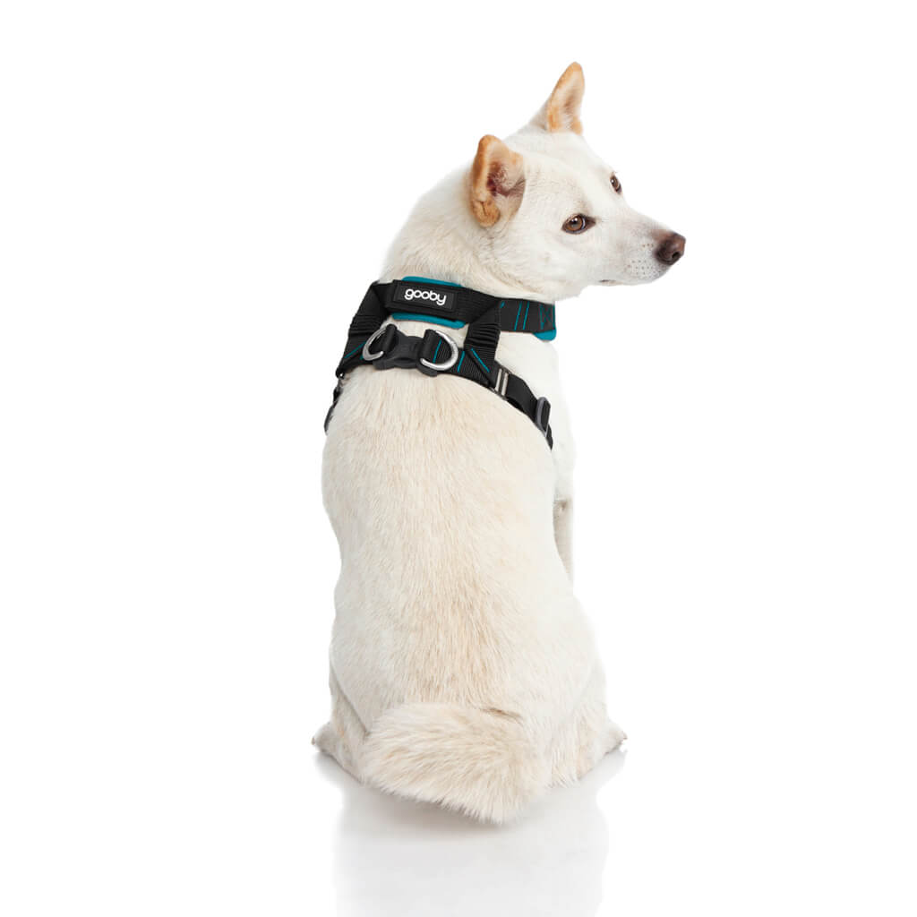 #04204 - Convertible Z Harness