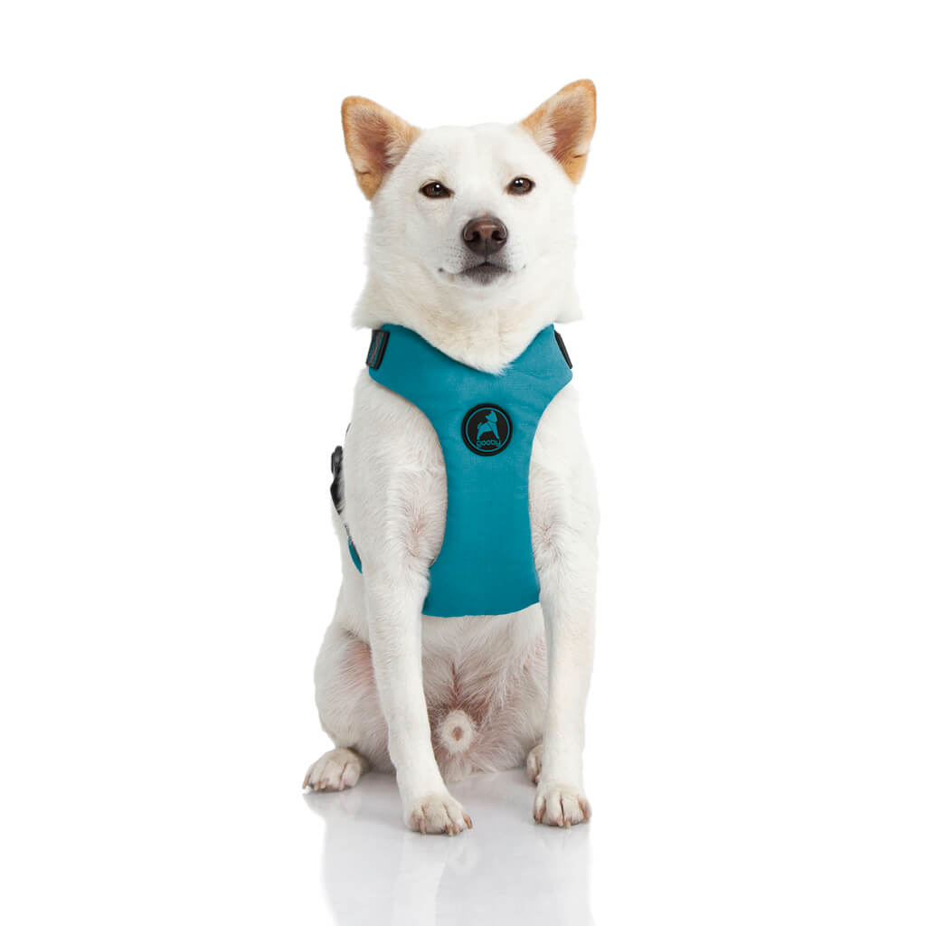 #04204 - Convertible Z Harness