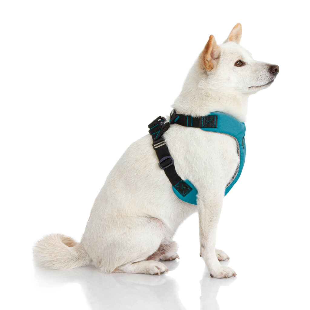 #04204 - Convertible Z Harness
