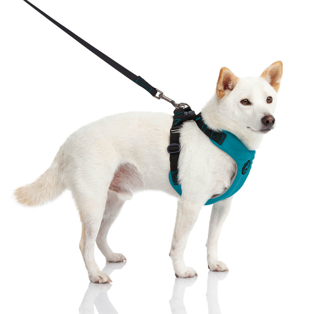 #04204 - Convertible Z Harness