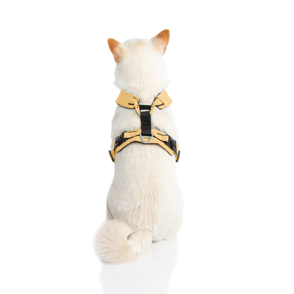 #04203 - Lite Gear Z Harness