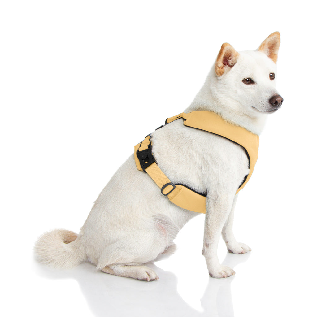 #04203 - Lite Gear Z Harness