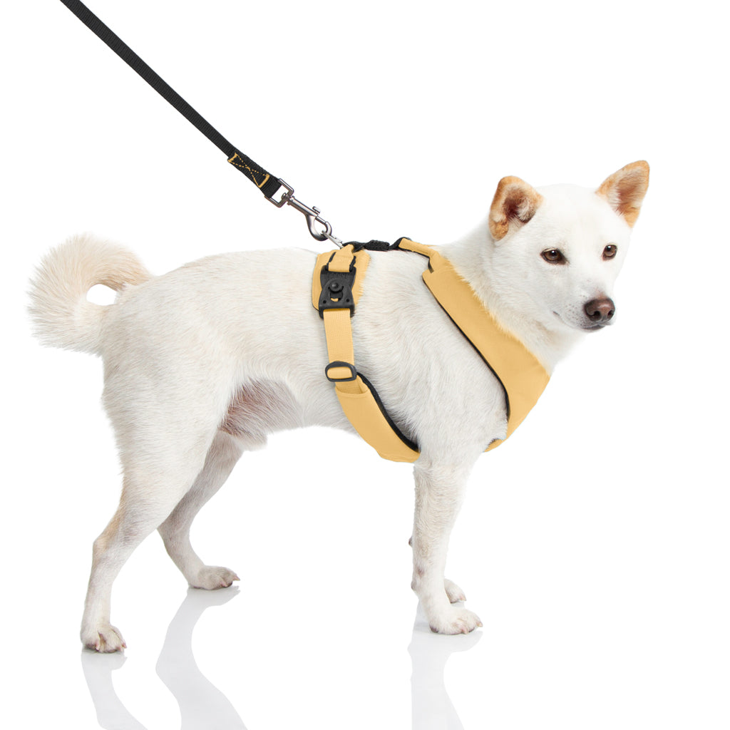 #04203 - Lite Gear Z Harness