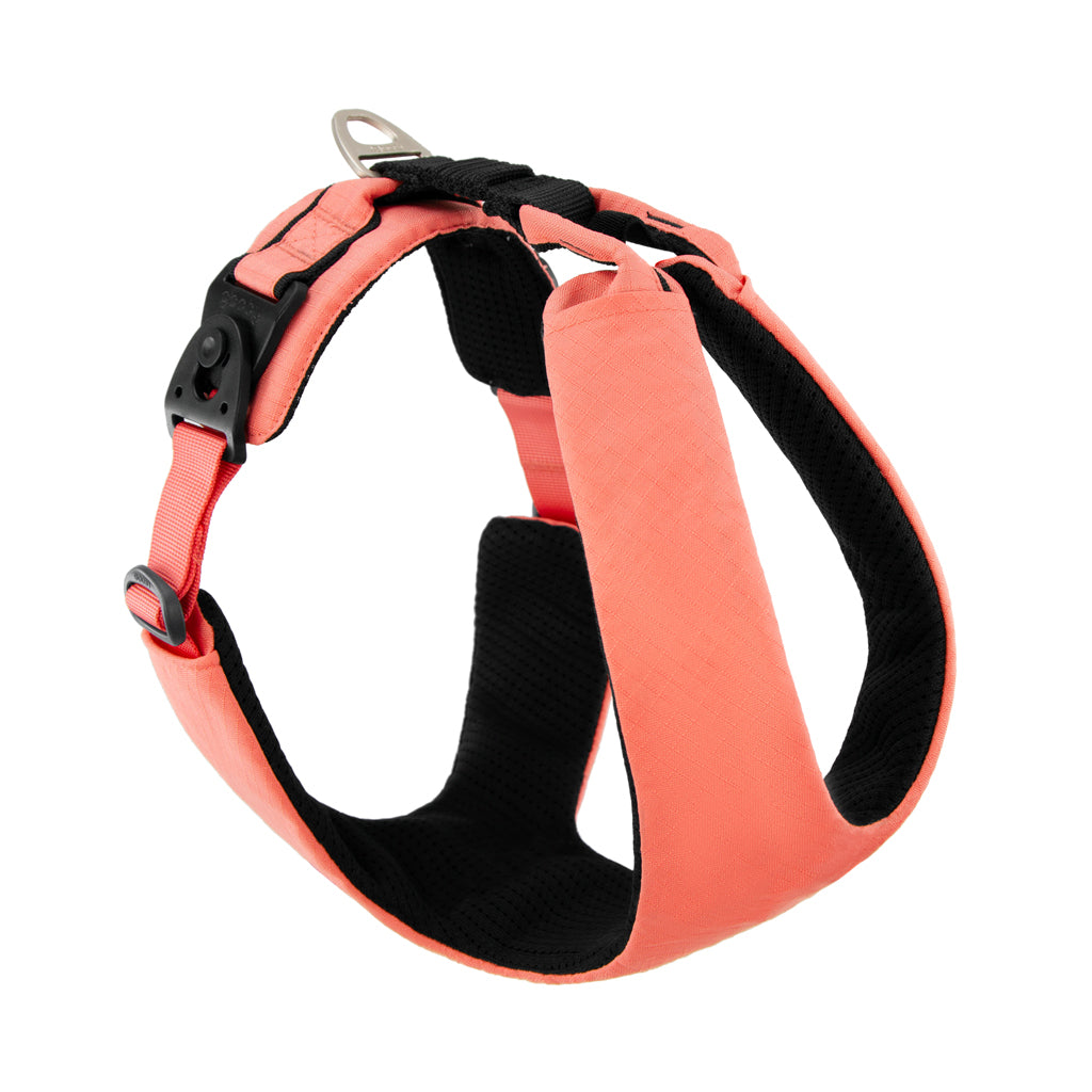 #04203 - Lite Gear Z Harness