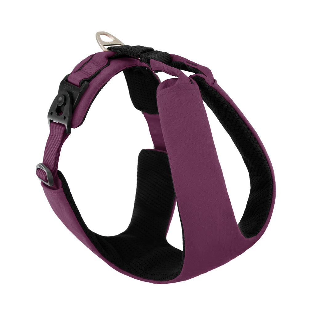 #04203 - Lite Gear Z Harness